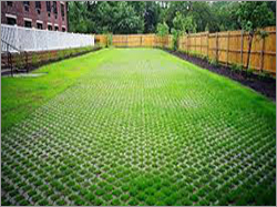 Grass Pavers