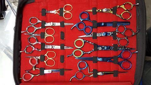 Steel Beauty Scissors