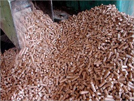 Cattle Feed Supplements Cattle Feed Supplements