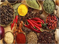 Authentic Indian Spices Authentic Indian Spices