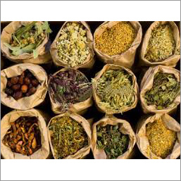 Medicinal Herbs