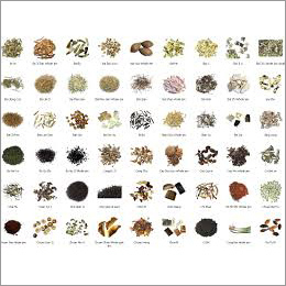 Medicinal Herbs