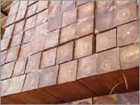Nagpur Teak Wood Panels