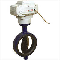 Castle Motorized Valve