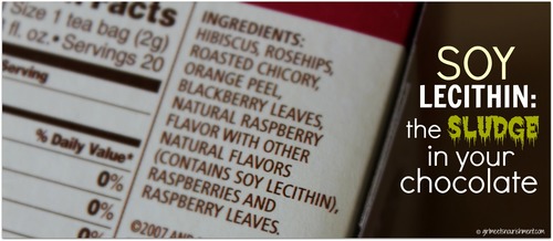 Soy Lecithin