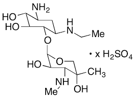 1-N-Ethylgaramine sulfate