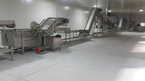 IQF Vegetable and Fruit Washing Line