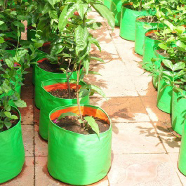 Grow Bag
