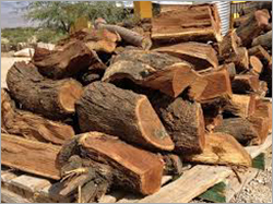 Ignition Firewood