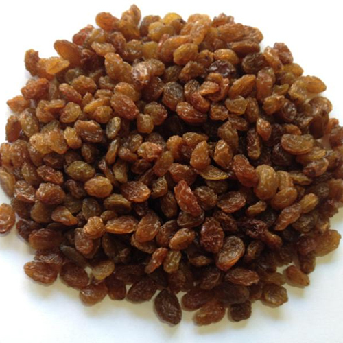 Brown Raisin