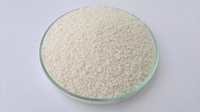 Venlafaxine Hydrochloride Pellets