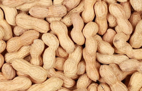 Raw Groundnuts