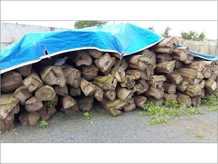 Teak Woods