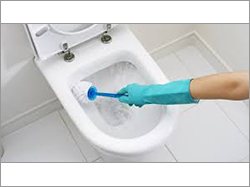 Toilet Cleaning