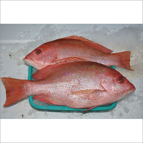 Seafood Products