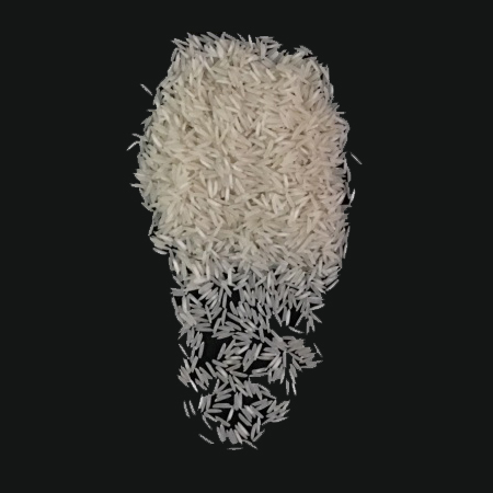 White Rice