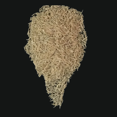Traditional Brown Rice Broken (%): 1.5 Max.
