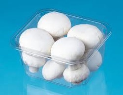 Mushroom Packaging Tray