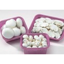 Mushroom Tray
