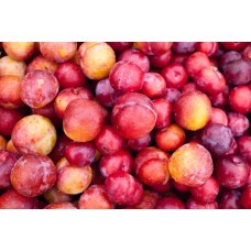Crannberrys Plums