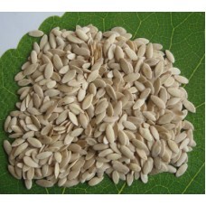 Cucumber Seeds