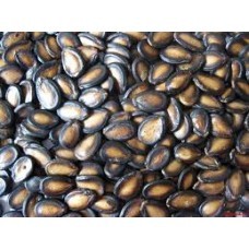 Watermelon Seeds