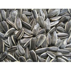 Sunflower Seeds