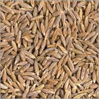 Dry Cumin