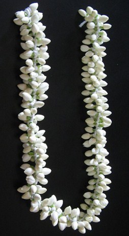 White Jasmine Flower String