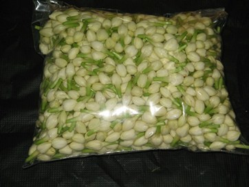 Jasmine Flowers - Loose 500 Gms | Fresh Jasmine Flower Variety, Ideal for Floral Arrangements