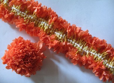 Orange Kanakambara Flowers