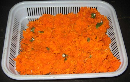 Marigold Flower - Fresh Orange, 500 g Pack | Vibrant Color, 48-Hour Shelf Life