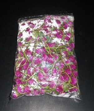 Vaada Malli Shelf Life: 48 Hours