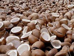 Dry Coconut