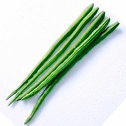 Drumstick