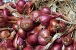 Sambar Onion