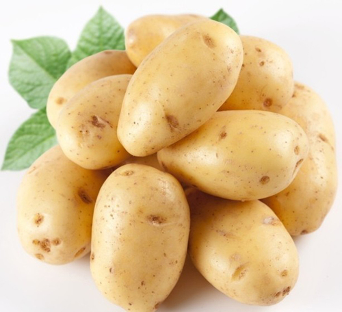 Potato