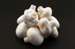 Mushrooms