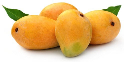 All Varieties Mango