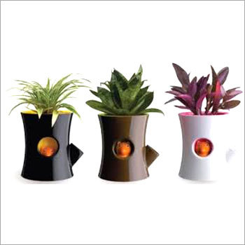 Flower Pot