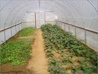 Greenhouse Protected Poly House