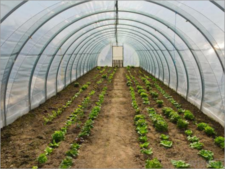 Poly Tunnel Poly Tunnel