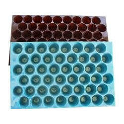 Nursery Tray