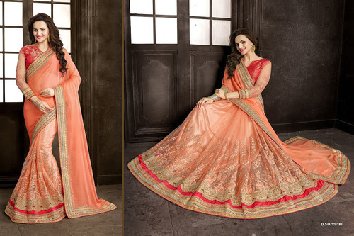 Colourful Light Orange Chiffon On Net Saree