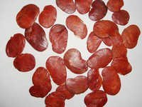 Pongamia Pinnata Seeds - Premium Quality, Fresh Organic Oil Seeds , Safe Packaging Options With Chemical-free Purity And Nutrients