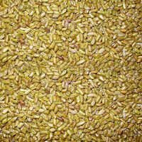 Cassia Semen Torea Seeds
