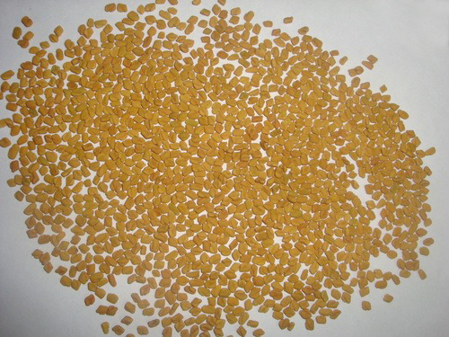 Fenugreek (Methi) Seeds By SHREE RAGHVENDRA AGRO PROCESSORS