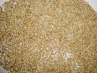 Green Millet By Shree Raghvendra Agro Processors