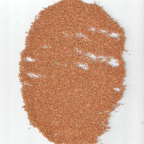 Red Millet By SHREE RAGHVENDRA AGRO PROCESSORS