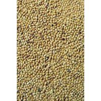 Yellow Millet